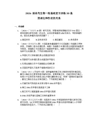 2026届高考生物一轮基础复习训练30 基因表达和性状的关系