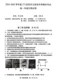 辽宁省沈阳市五校协作体2024-2025学年高一下学期期末考试生物试题（PDF版附答案）