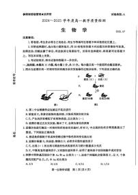 山东省枣庄市2024-2025学年高一下学期期末考试生物试卷（PDF版附答案）