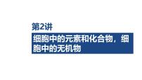 第2讲 细胞中的元素和化合物，细胞中的无机物-2026年高考生物一轮复习课件（含练习、讲义及答案）