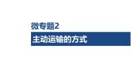 微专题2 主动运输的方式-2026年高考生物一轮复习课件（含练习、讲义及答案）