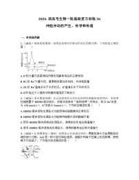 2026届高考生物一轮基础复习训练36 神经冲动的产生、传导和传递