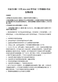 河北省石家庄市第一中学2024-2025学年高二下学期7月期末生物试题（有答案）含答案解析