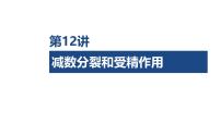 第12讲 减数分裂和受精作用-第2课时 减数分裂与有丝分裂的比较-2026年高考生物一轮复习课件（含练习、讲义及答案）