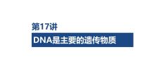 第17讲 DNA是主要的遗传物质-2026年高考生物一轮复习课件（含练习、讲义及答案）