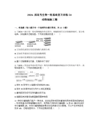 2026届高考生物一轮基础复习训练54 动物细胞工程