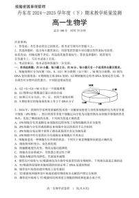 辽宁省丹东市2024-2025学年高一下学期期末教学质量监测生物试卷（有答案）含答案解析
