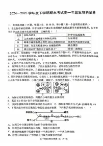 辽宁省五校联考2024-2025学年高一下学期7月期末考试生物试题（、含答案）含答案解析