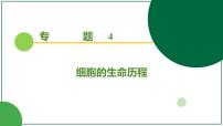 2026届高考生物一轮专题复习:专题4 第1讲 细胞的增殖 课件