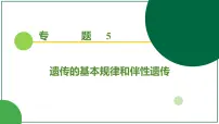 2026届高考生物一轮专题复习：专题5 第2讲 基因的自由组合定律 课件
