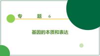 2026届高考生物一轮专题复习：专题6 第3讲 基因的表达 课件