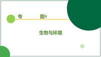 2026届高考生物一轮专题复习:专题9 微专题8 能量流动的有关计算 课件