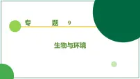 2026届高考生物一轮专题复习：专题9 第4讲 生态系统的物质循环、信息传递和稳定性 课件