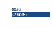 04-第21讲 生物的进化-2026年高考生物一轮复习课件（含练习、讲义及答案）