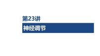 第23讲 神经调节-第3课时 神经系统的分级调节及人脑的高级功能-2026年高考生物一轮复习课件（含练习、讲义及答案）