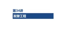 第34讲 发酵工程-第1课时 传统发酵技术及发酵工程-2026年高考生物一轮复习课件（含练习、讲义及答案）