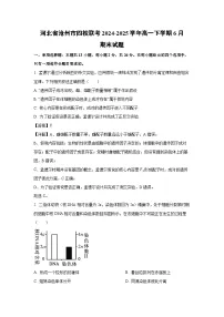 河北省沧州市四校联考2024-2025学年高一下学期6月期末生物试题（解析版）