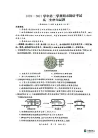 河南省开封市2024-2025学年高二下学期期末调研考试生物试卷+答案