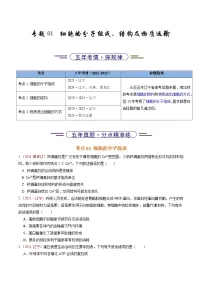 5年（2021-2025）高考1年模拟生物真题分类汇编专题01 细胞的分子组成、结构及物质运输（原卷版）（黑吉辽蒙专用）