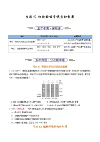5年（2021-2025）高考1年模拟生物真题分类汇编专题02 细胞的能量供应和利用（原卷版）（黑吉辽蒙专用）