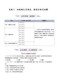 5年（2021-2025）高考1年模拟生物真题分类汇编专题01 细胞的分子组成、结构及物质运输（原卷版）（广东专用）