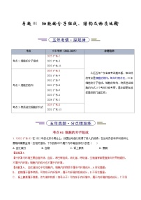 5年（2021-2025）高考1年模拟生物真题分类汇编专题01 细胞的分子组成、结构及物质运输（解析版）（广东专用）