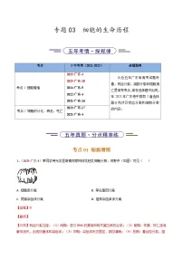 5年（2021-2025）高考1年模拟生物真题分类汇编专题03 细胞的生命历程（解析版）（广东专用）