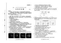 山东省潍坊市2024-2025学年高一下学期期末考试 生物试卷