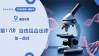 第17讲+自由组合定律+第1课时（复习课件）（福建专用）2026年高考生物一轮复习讲练测