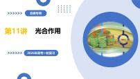 第11讲+光合作用（复习课件）（安徽专用）2026年高考生物一轮讲练测