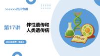 第17讲+伴性遗传和人类遗传病+（复习课件）（四川专用）2026年高考生物一轮复习讲练测