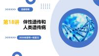 第18讲+伴性遗传和人类遗传病（复习课件）（安徽专用）2026年高考生物一轮讲练测