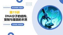 第19讲+DNA分子的结构、复制与基因的本质（复习课件）2026年高考生物一轮复习讲练测
