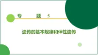 2026届高考生物学一轮复习习题课件及答案解析：专题5 第2讲 基因的自由组合定律