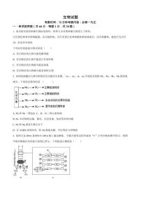 山西省山西大学附属中学校2025-2026学年高三上学期8月（第一次月考）生物试卷