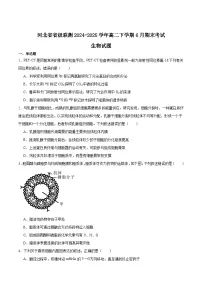 河北省省级联测2024-2025学年高二下学期6月期末考试生物试卷（Word版附答案）
