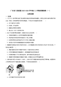 广东省“八校联盟”2026届高三上学期质量检测（一）生物试卷（Word版附答案）