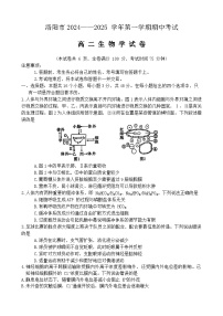 河南省洛阳市2024-2025学年高二上学期11月期中考试生物试卷
