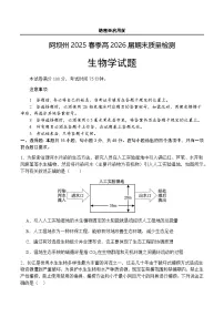 四川省阿坝藏族羌族自治州2024-2025学年高二下学期7月期末生物试题（含答案）含答案解析
