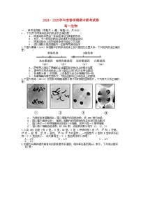 江苏省无锡市江阴市2024_2025学年高一生物下学期4月期中联考试题