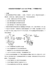 河南省焦作市普通高中2024-2025学年高二下学期期末考试生物试题（Word版附答案）