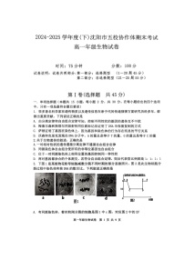 辽宁省沈阳市五校协作体2024-2025学年高一下学期期末考试生物试卷