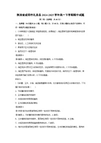 陕西省咸阳市礼泉县2024-2025学年高一下学期期中生物试题（解析版）