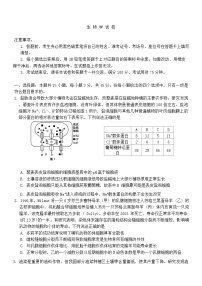 重庆市第八中学校2024-2025学年高三上学期适应性月考（三）生物试卷