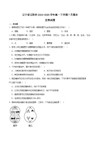 辽宁省辽阳市2024-2025学年高一下学期期末考试生物试题（Word版附答案）