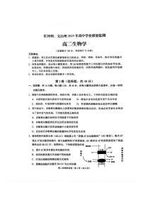 云南省红河州、文山州2024-2025学年高二下学期期末考试生物试题（PDF版附答案）
