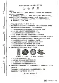 河南省南阳市2024-2025学年高一上学期11月期中生物试题