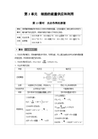 【备考2026】高考生物一轮复习资源：第3单元 第13课时 光合作用的原理（讲与练）（教师版）