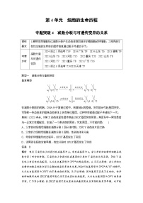 【备考2026】高考生物一轮复习资源：第4单元 专题突破4 减数分裂与可遗传变异的关系（讲与练）（教师版）