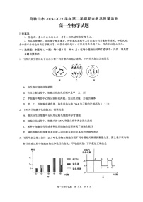 安徽省马鞍山市2024-2025学年高一下学期期末考试生物试卷